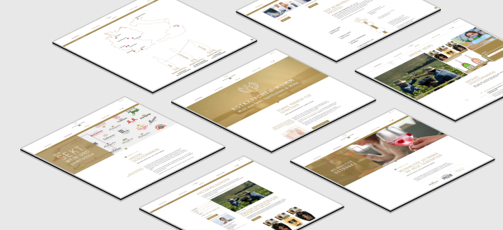 Several website layouts laid flat on a page
